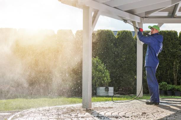 Best Sidewalk and Walkway Cleaning  in Ranlo, NC
